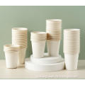/company-info/1515354/biodegradable-cup/disposable-biodegradable-corn-starch-cup-with-printing-62955244.html